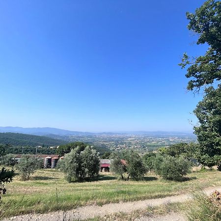 Le Case Di Anita In Toscana - Ареццо Екстер'єр фото